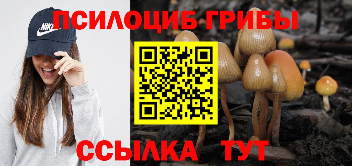 Галлюциногенные грибы GOLDEN TEACHER Туапсе